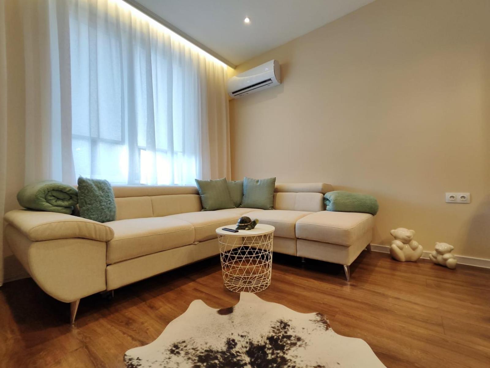 The Modern Life With Terrace Sofia