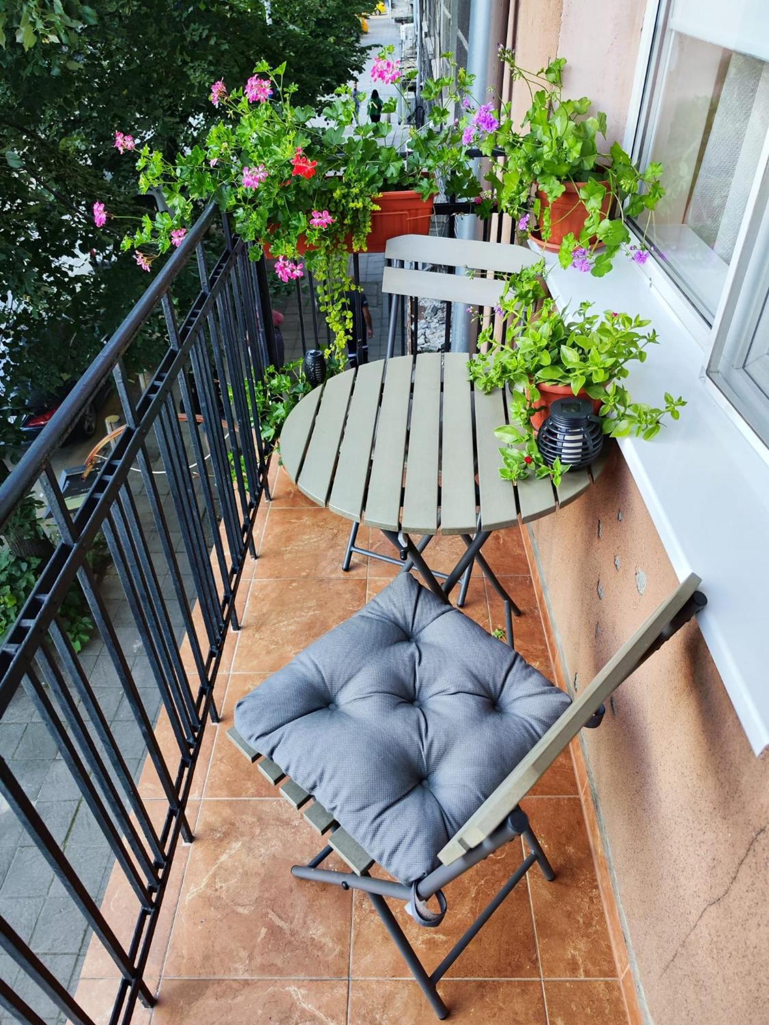 The Modern Life With Terrace *